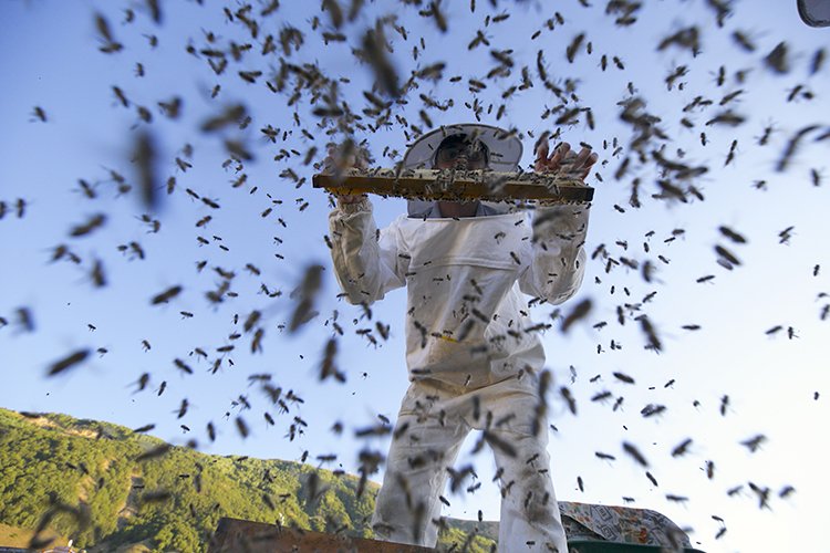 2025 15 20250821 2 70437967 116222162