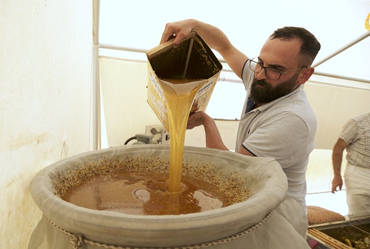 2025 15 20250821 2 70437967 116222169