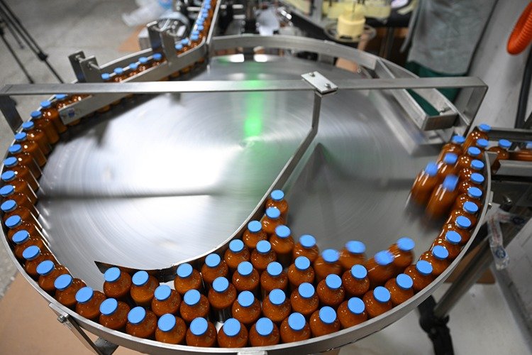 Şap Hastalığı (2)