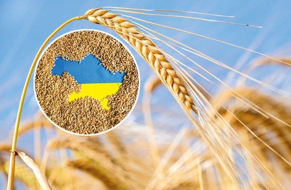 Ukrayna'nın Buğday İhracatı %42,2 Geriledi
