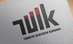 Şirketler Türkiye'deki Katma Değerin Yüzde 55,5'ini Üretti