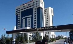 7584 Sayılı Kanun Yayımlandı: Tarım, Orman ve Enerjide Büyük Değişim
