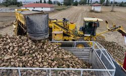 Türkiye Şeker Fabrikalarında Sicil Amirleri Değişti