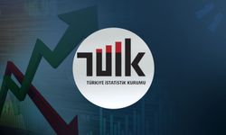 Vergi ve Sosyal Katkı Gelirleri 17 Trilyon TL'yi Aştı