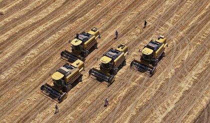 Malya Tarım İşletmesi'nde Sertifikalı Tohum Hasadı Sürüyor