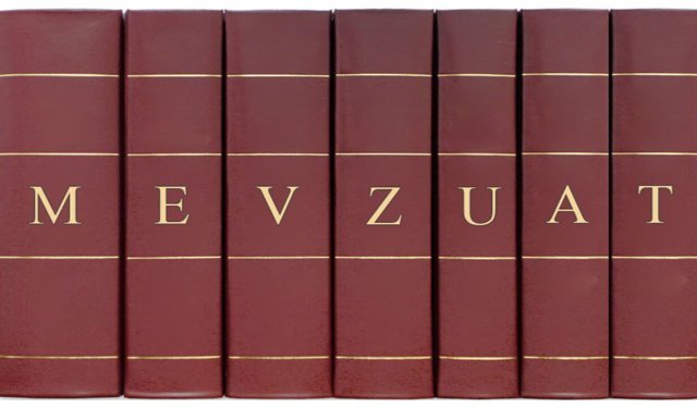 5018 Sayılı Kamu Malî Yönetimi ve Kontrol Kanunu