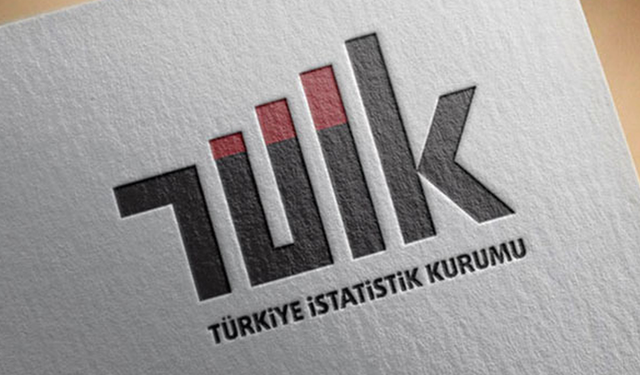 Şirketler Türkiye'deki Katma Değerin Yüzde 55,5'ini Üretti