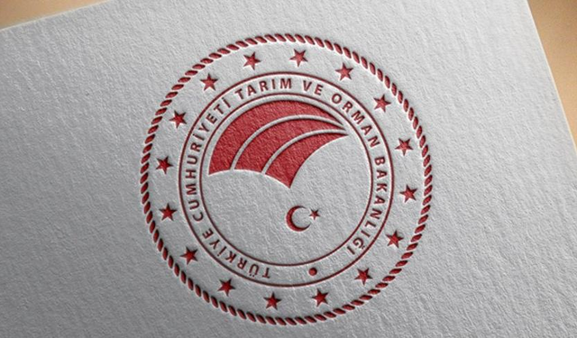 Türk Gıda Kodeksi Yeni Gıdalar Yönetmeliği Yayımlandı
