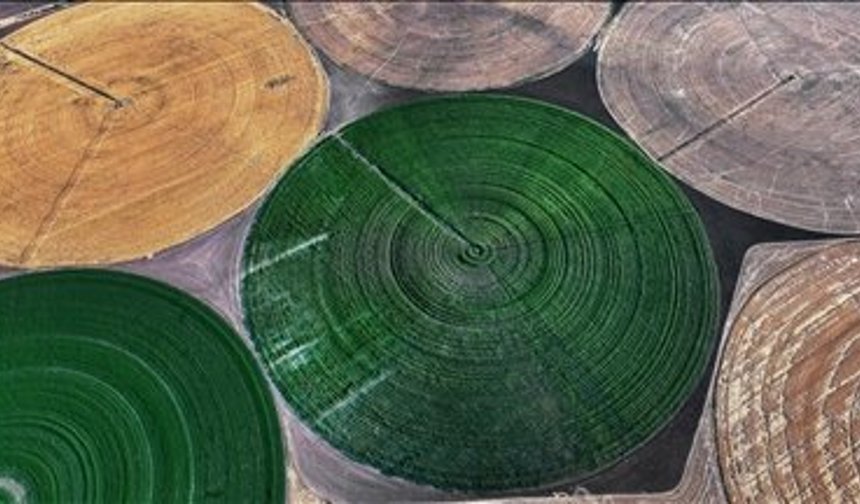 Konya'nın Devasa Dairesel Tarlalarında Hasat Tamamlandı